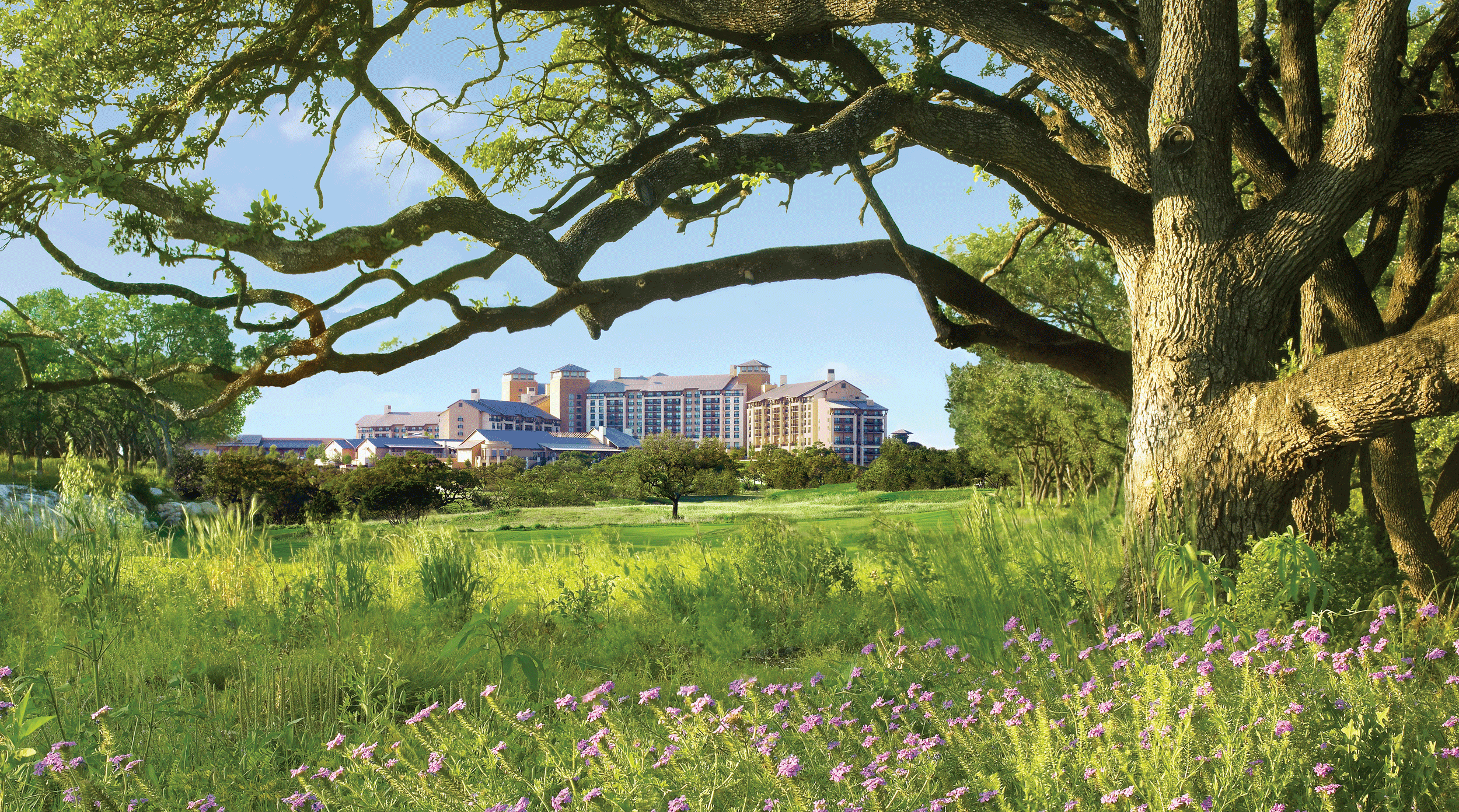 The JW Marriott San Antonio is set in the rolling landscape of the Texas Hill Country.