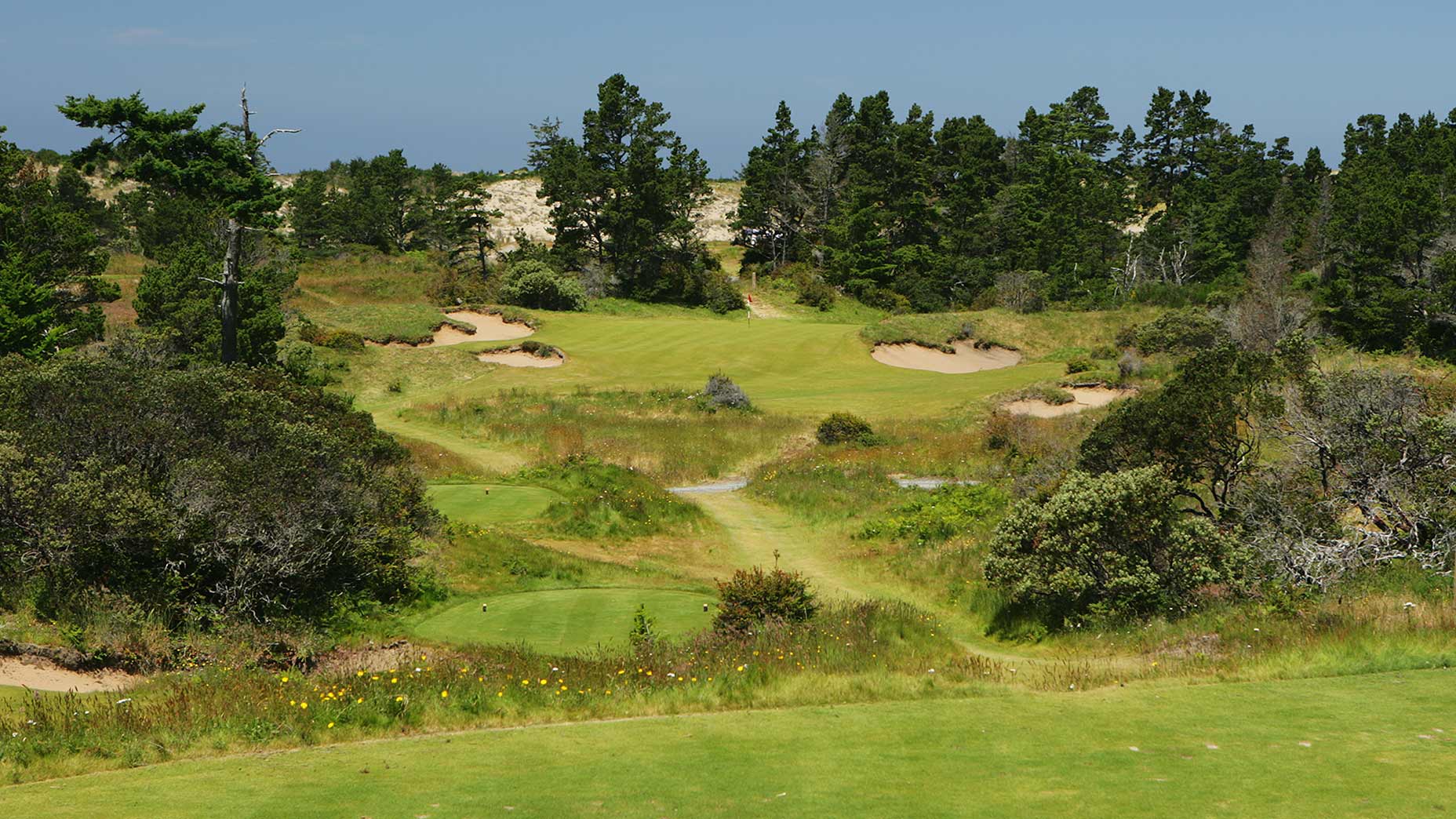 The par-3 17th at Bandon Trails.