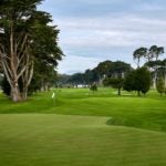 TPC Harding Park