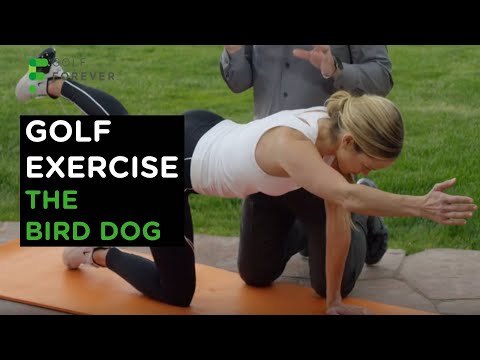 Bird Dog Exercise - The Right And Wrong Ways To Perform This Exercise