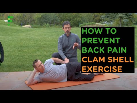 Golf Exercise to Prevent Back Pain: Clam Shell