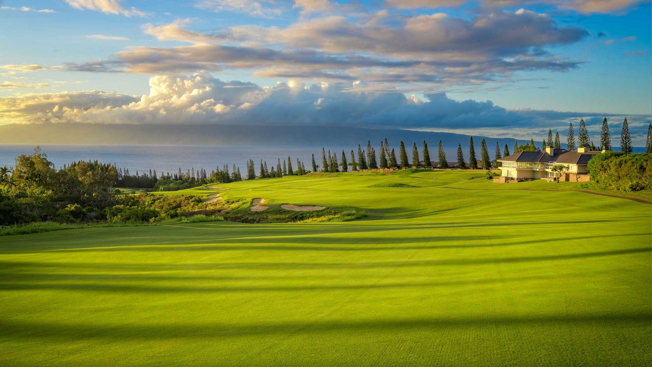 kapalua plantation