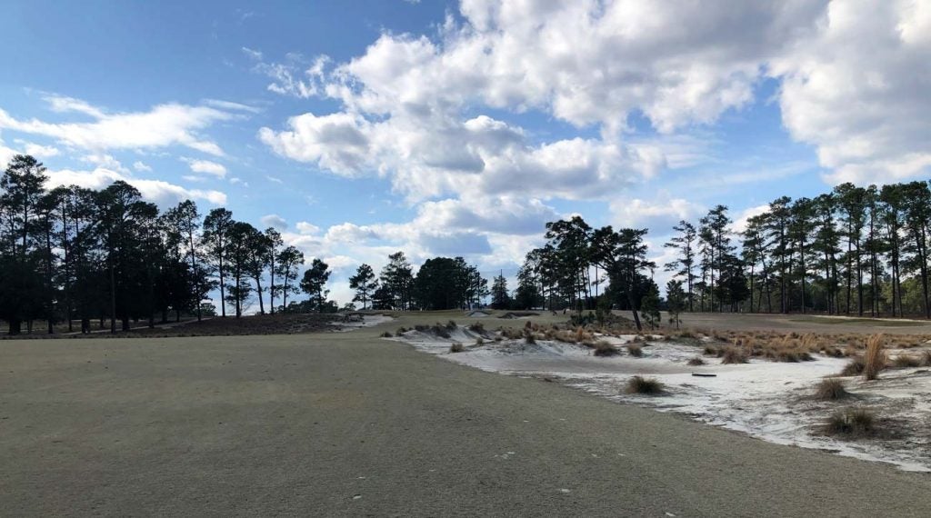 The native areas at Pinehurst are scenic -- and penal.