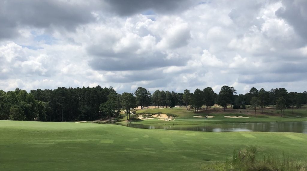 A view from behind the par-3 6th green on Pinehurst No. 4.