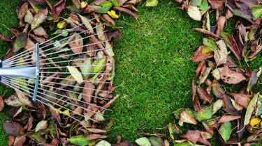 raking leaves