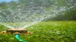 sprinkler watering a lawn