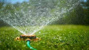 sprinkler watering a lawn