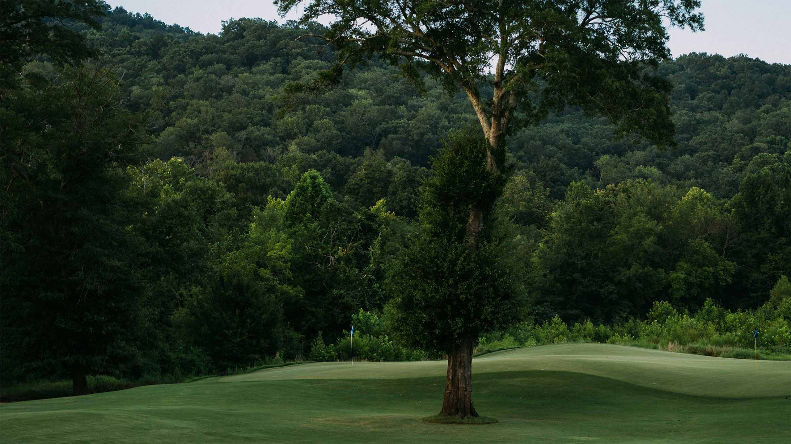 Sweetens Cove Golf Club in South Pittsburg, Tenn.