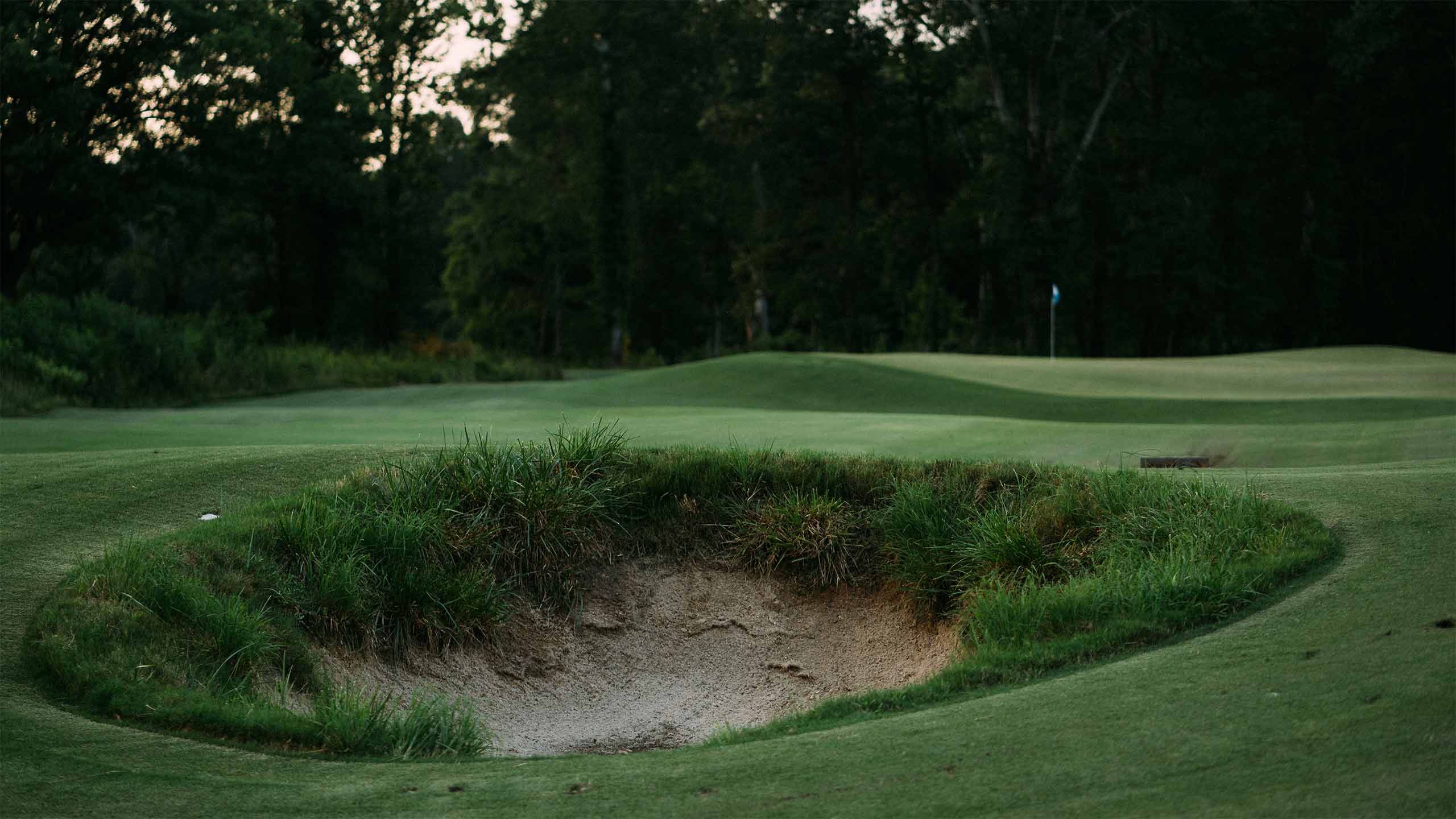 Sweetens Cove Golf Club in South Pittsburg, Tenn.