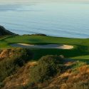 Torrey Pines